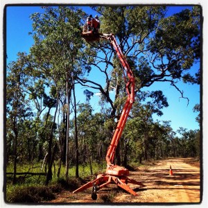cherrypicker, Girringun National Park