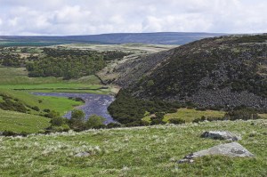 Moor House - Upper Teesdale - National Nature Reserve Credit: © Natural England/Allan Drewitt 1 May 2006Teesdale