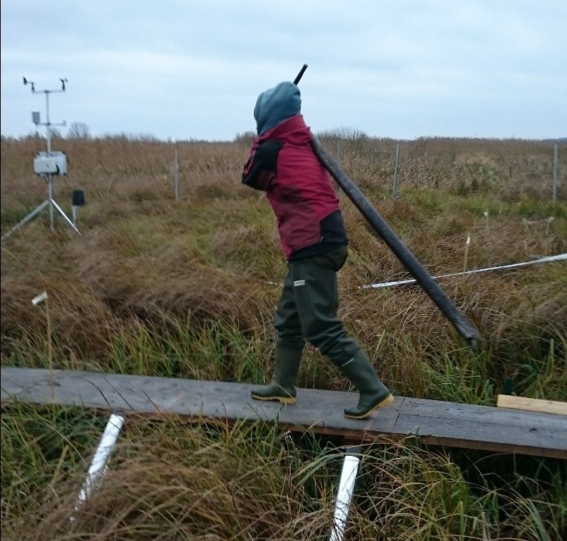 Heavy science on a November field day.