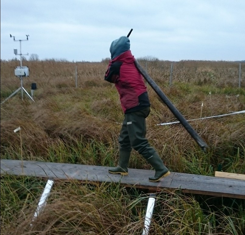 Heavy science on a November field day.