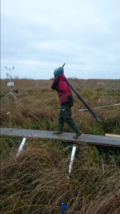 Heavy science on a November field day.