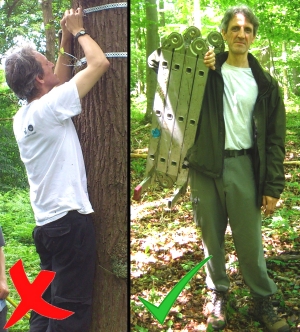 feldwork fashion small