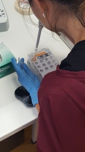 Dr Stella Loke loading DNA samples to be sequenced on the MiSeq for whole genome sequencing.