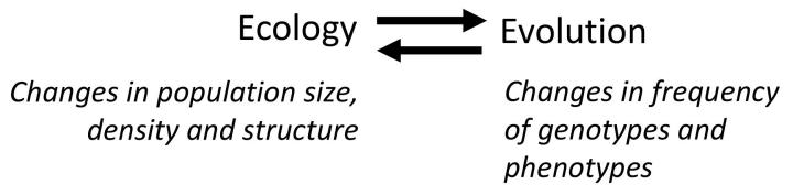 The ecology-to-evolution pathway and the evolution-to-ecology pathway that comprise a closed, eco-evolutionary feedback loop. If the phenotype expressions of these genotypes have differential effects on survival and reproduction, the evolutionary change will feed back to affect the ecology of the population by affecting population size, density and / or structure in the evolution-to-ecology pathway.