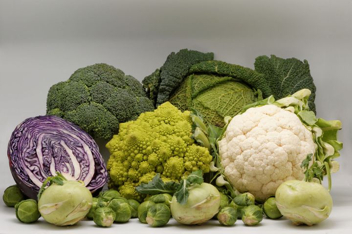 Cauliflower, Brussel sprout, green cabbage, broccoli and kohlrabi are all cultivars of the same plant species, Brassica oleracea and a result of artificial selection for either leaves, stems, buds or flowers. Attribution: Coyau / Wikimedia Commons / CC BY-SA 3.0