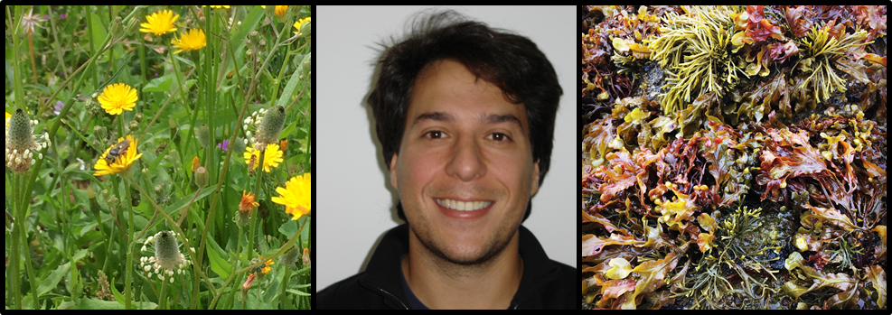 Oscar between an annual prairie in Sierra Norte (Spain) and an algae community in Mull Island (UK) searching for generalities across ecosystems.
