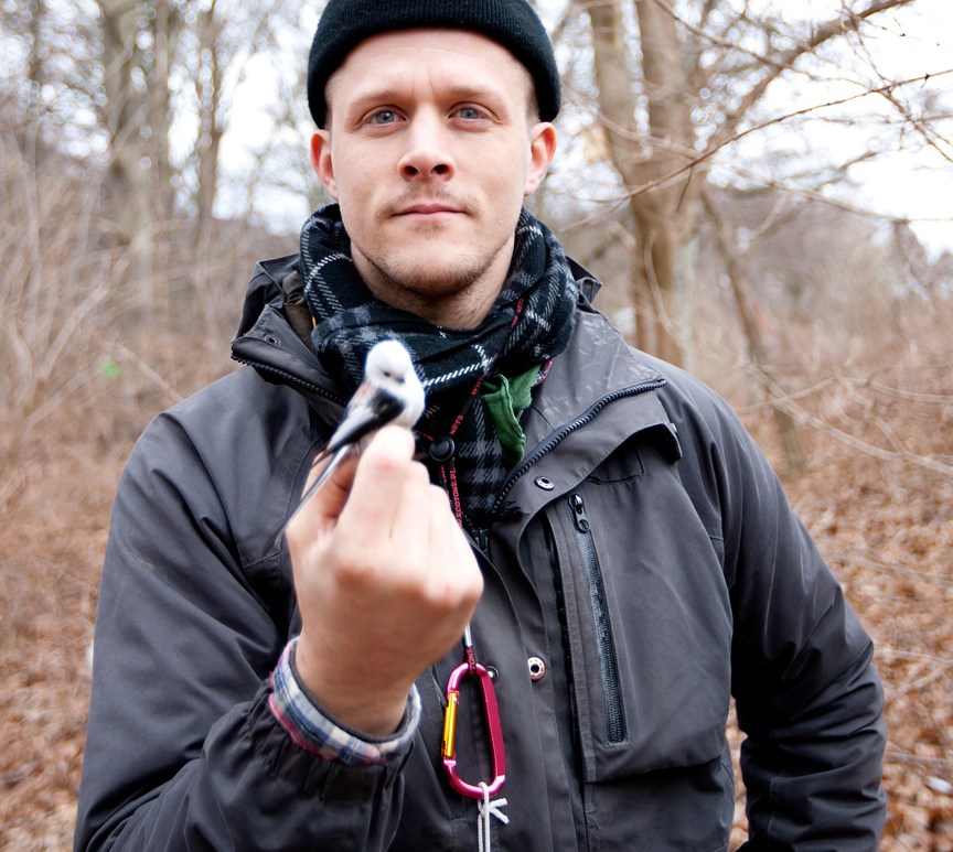 Andreas Nord. Photo by Henrik Högström