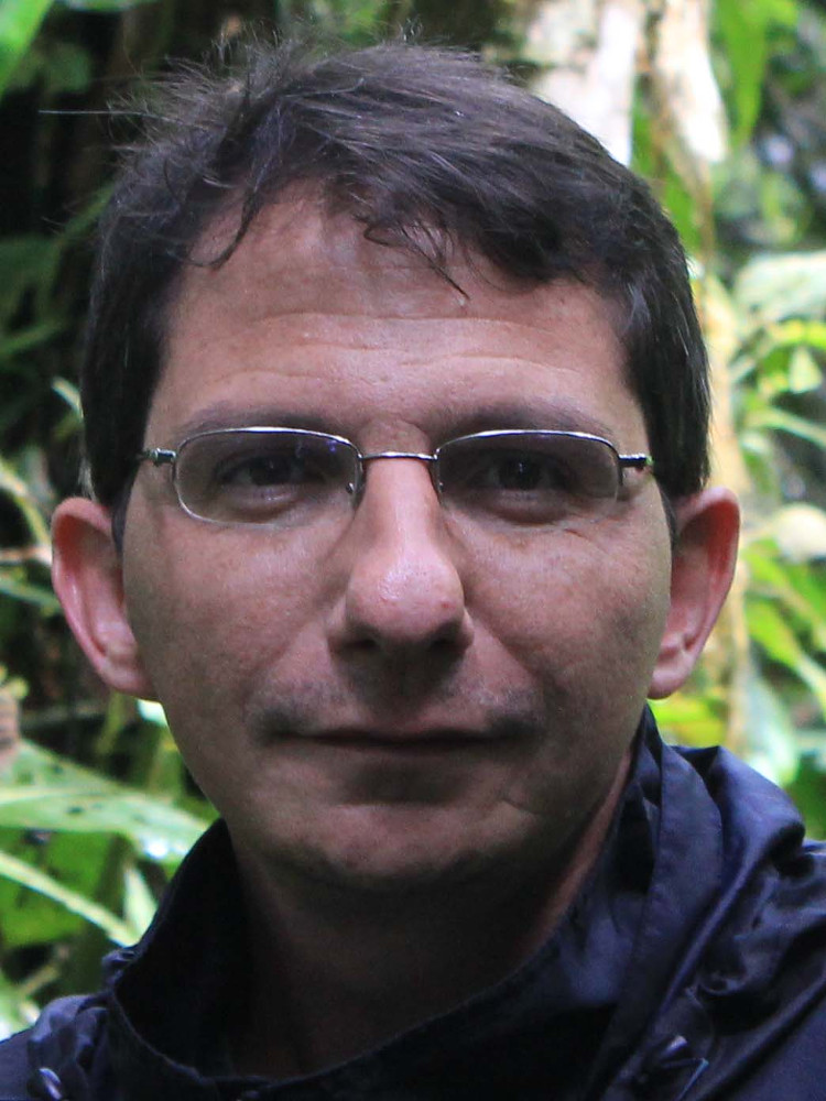 Aarón González‐Castro