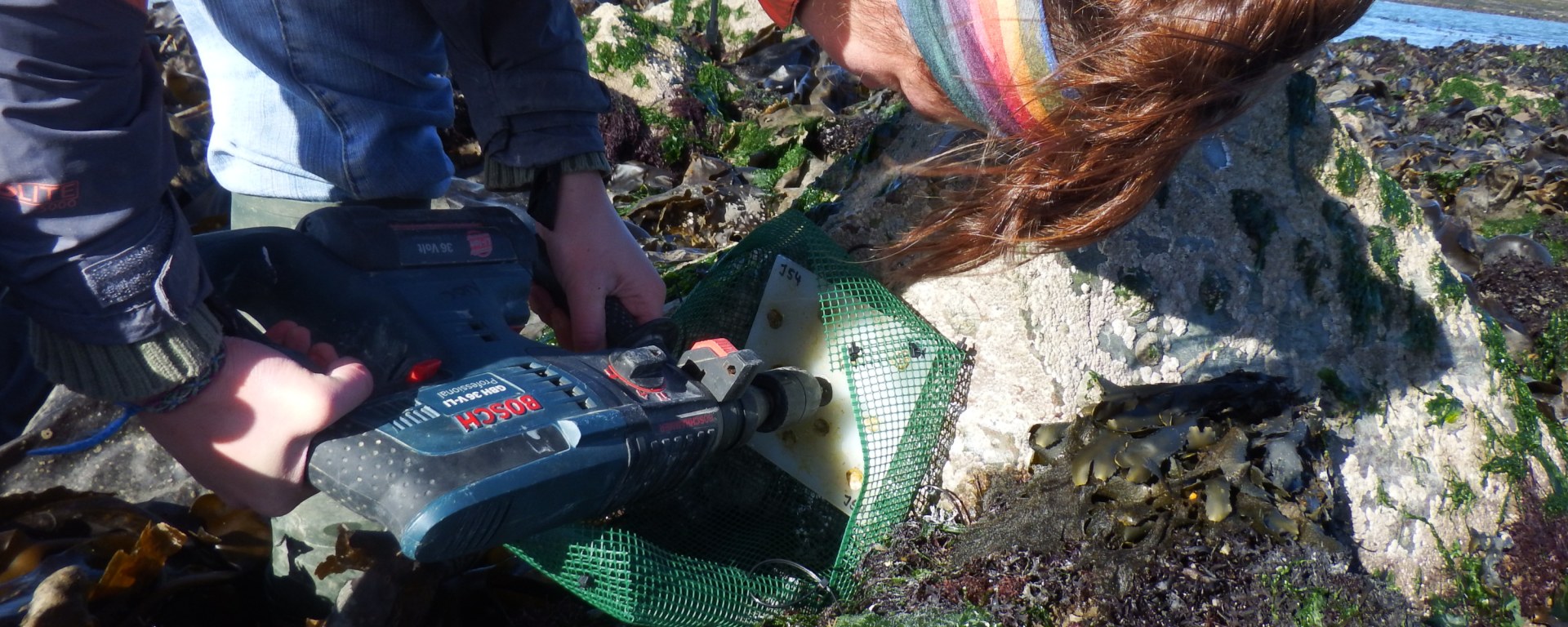 Nadescha Zwerschke in the field.