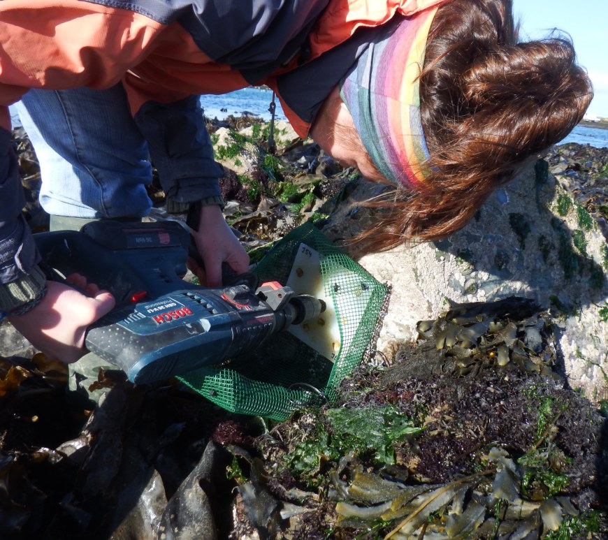 Nadescha Zwerschke in the field.