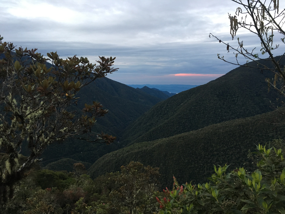 A view from our high elevation study site, Wayqecha, looking down the Andes towards our lowland site, Pantiacolla, in the Amazon