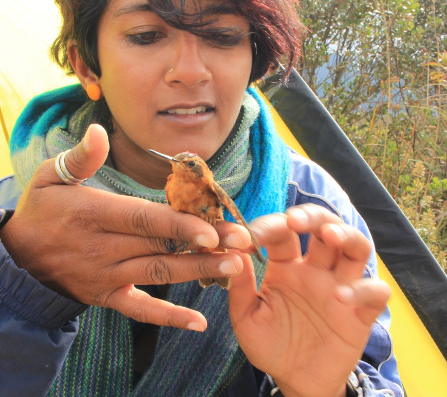 Anusha Shankar + hummingbird. Credit: Julisa Ricart