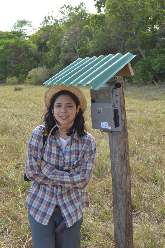 Installing automated acoustic recorders to monitor acoustically active anurans in Pantanal. Photo credit; Raul Costa-Pereira.