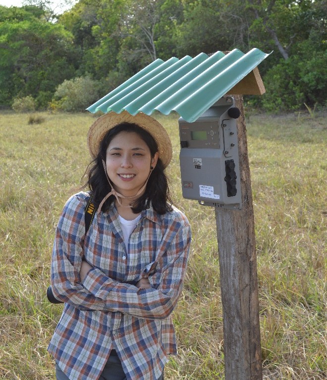 Installing automated acoustic recorders to monitor acoustically active anurans in Pantanal. Photo credit; Raul Costa-Pereira.