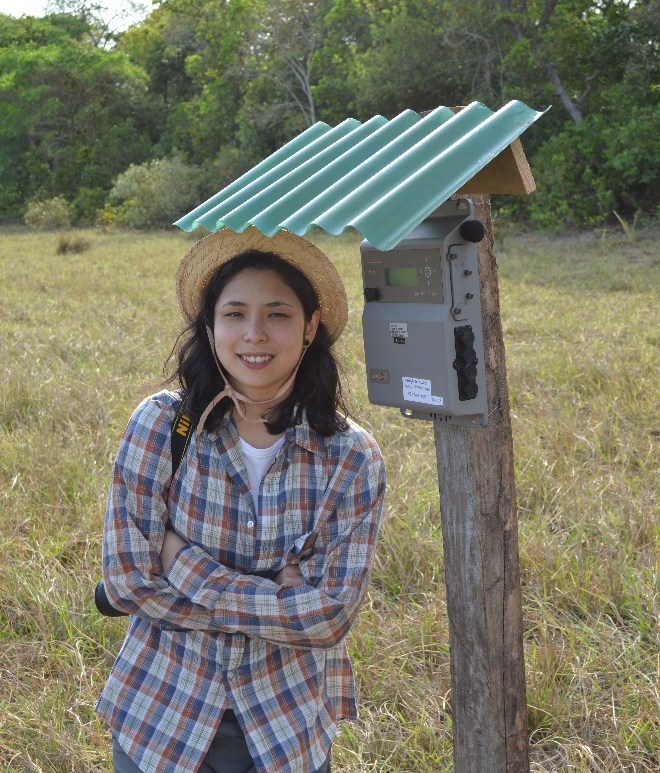 Installing automated acoustic recorders to monitor acoustically active anurans in Pantanal. Photo credit; Raul Costa-Pereira.
