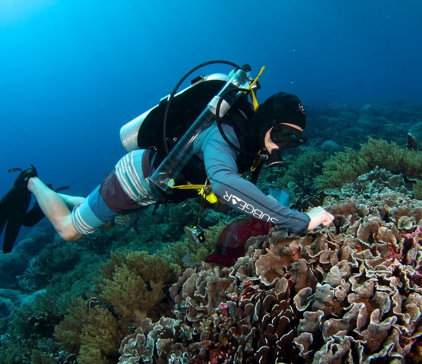 Dr. Fox sampling coral. Photo credit: Brian Zgliczynski