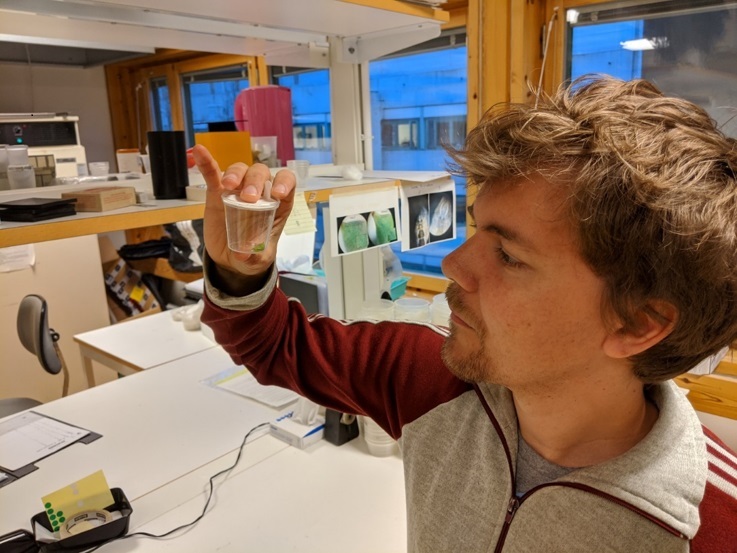 Olle, holding a container with a Pararge aegeria pupa (photo by Matthew Nielsen).