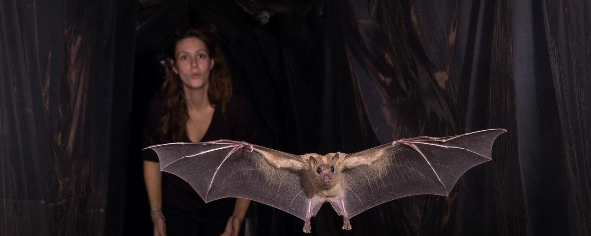 Dr. Currie releasing a Rousettus aegyptiacus Photo credit: Sasha Danilovich