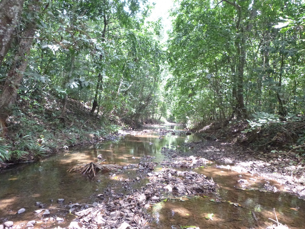 River near field site (photo by Jennifer Jones)