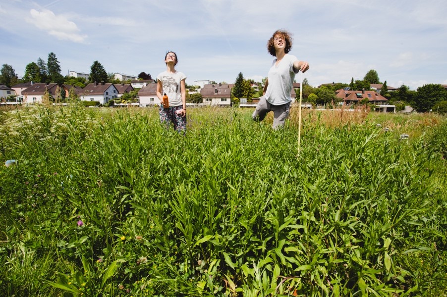 Seraina Cappelli and Noémie Pichon on the PaNDiv experiment, May 2017. 
Credit: Hugo Vincent
