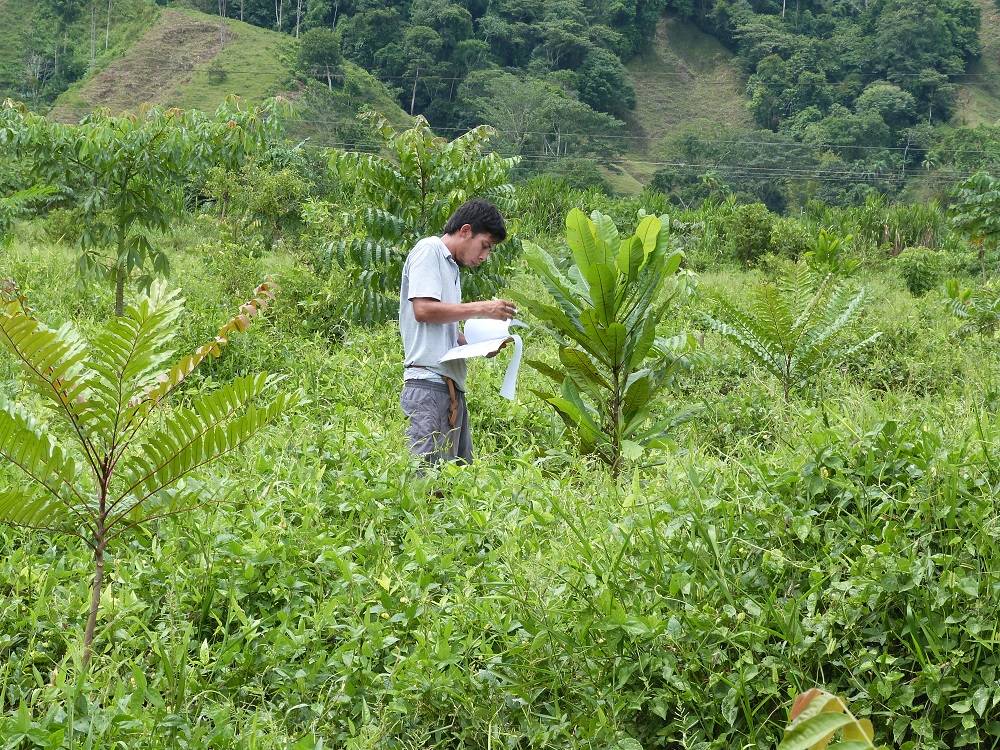 Photo by Svenja Kleinschmidt