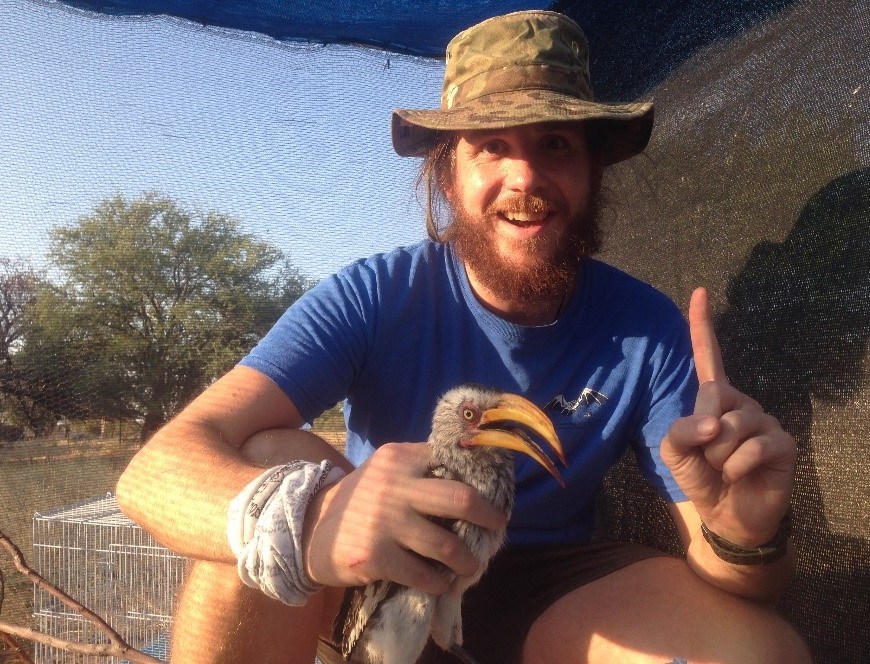 Zenon Czenze - In the Kalahari with a hot bird (Southern Yellow-Billed Hornbill)