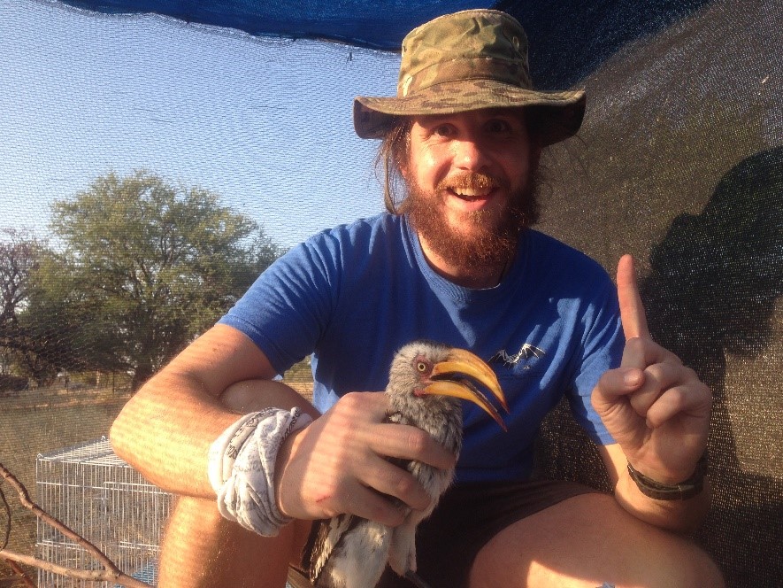 Zenon Czenze - In the Kalahari with a hot bird (Southern Yellow-Billed Hornbill)