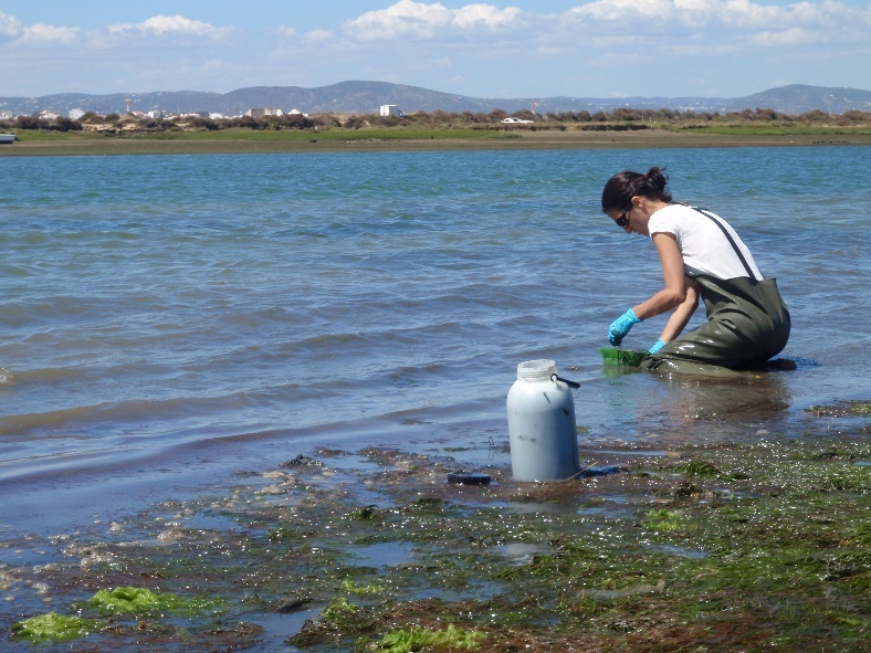 Ana Alexandre at workAna Alexandre at work