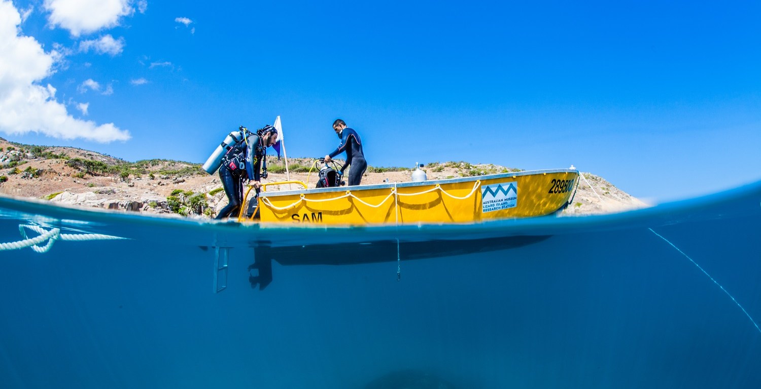 Field work for this study was done at Lizard Island, on the Great Barrier Reef, Australia, where the authors were lucky to have access to great infrastructure and exceptional autonomy. Photo by Victor Huertas.