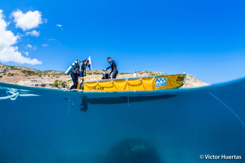 Field work for this study was done at Lizard Island, on the Great Barrier Reef, Australia, where the authors were lucky to have access to great infrastructure and exceptional autonomy. Photo by Victor Huertas.