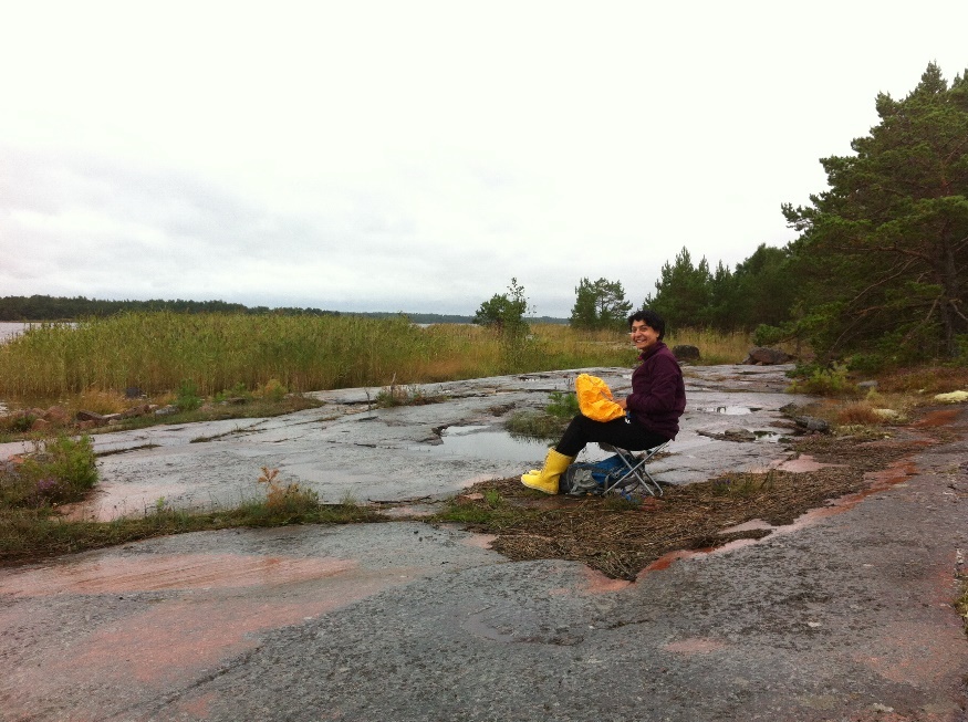 Ana georeferencing larval nests in a rainy day of summer 2015. Photo credit: Paula Salonen
