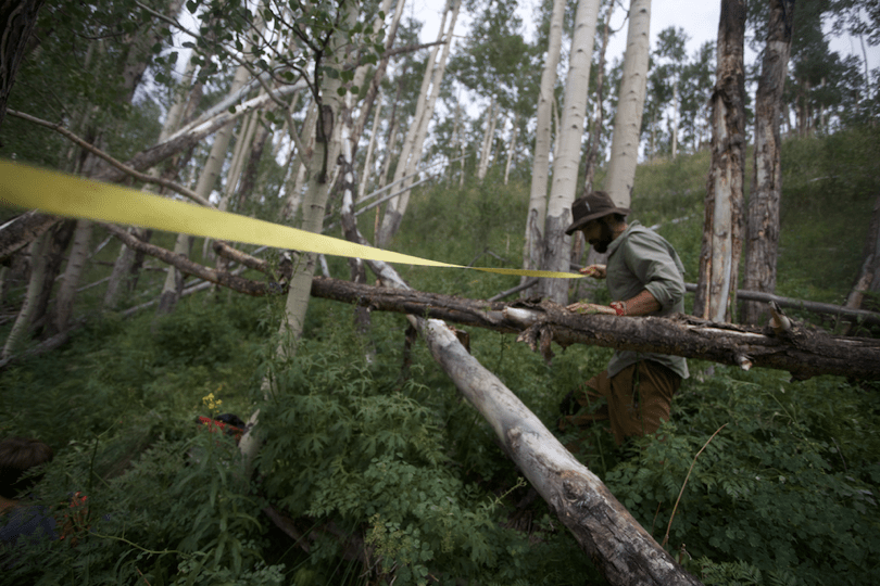 Fieldwork in Aspen, Colorado