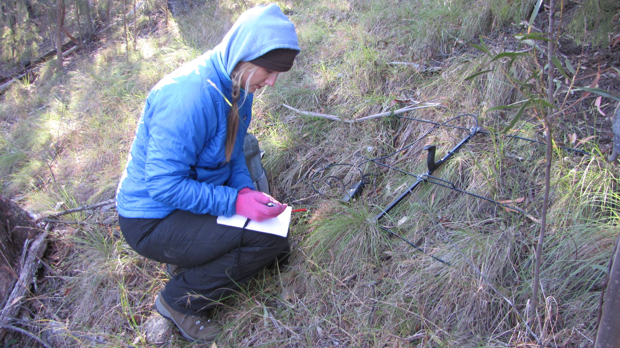 Anna collecting data on bats in Guy Fawkes River National Park in Australia.