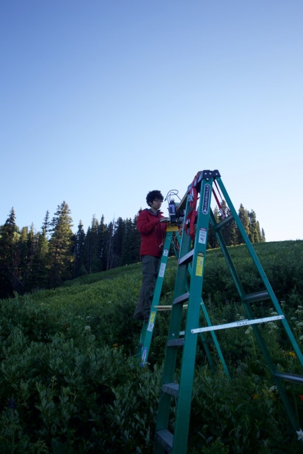 the first author configuring the camera for data logging in a subalpine meadow.