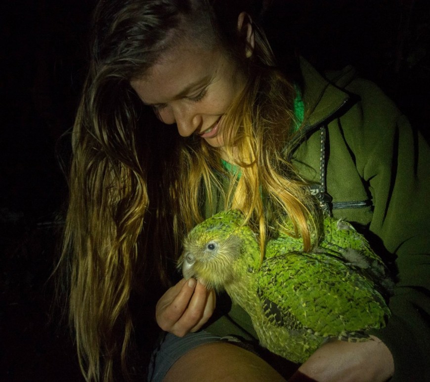 Jo Carpenter with a kakapo, a native seed predator endemic to New Zealand. Credit: Theo Thompson