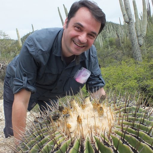 Carlos Garcia-Robledo, Assistant Professor in the Department of Ecology and Evolutionary Biology, University of Connecticut.