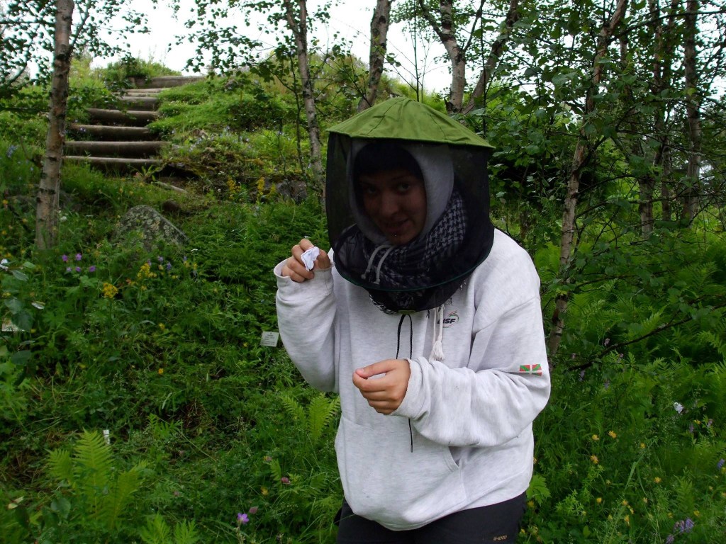 Classic field gear to protect myself from mosquitoes while bagging individual flowers in Finland.