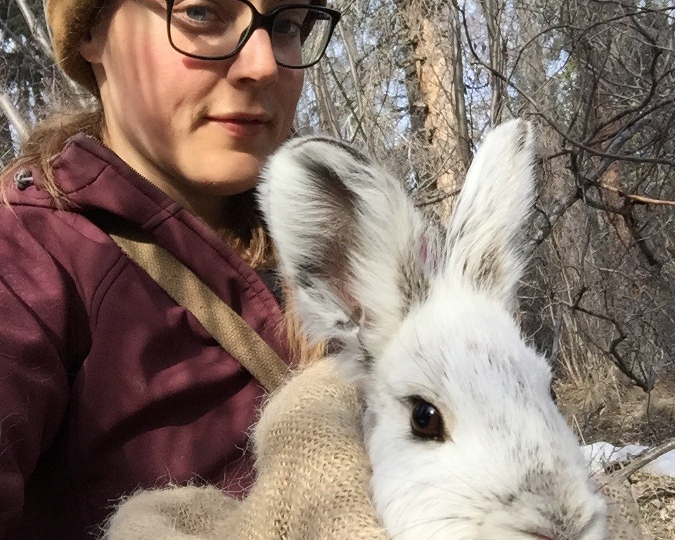 Ally releasing a snowshoe hare. Photo credit: Ally's iPhone.