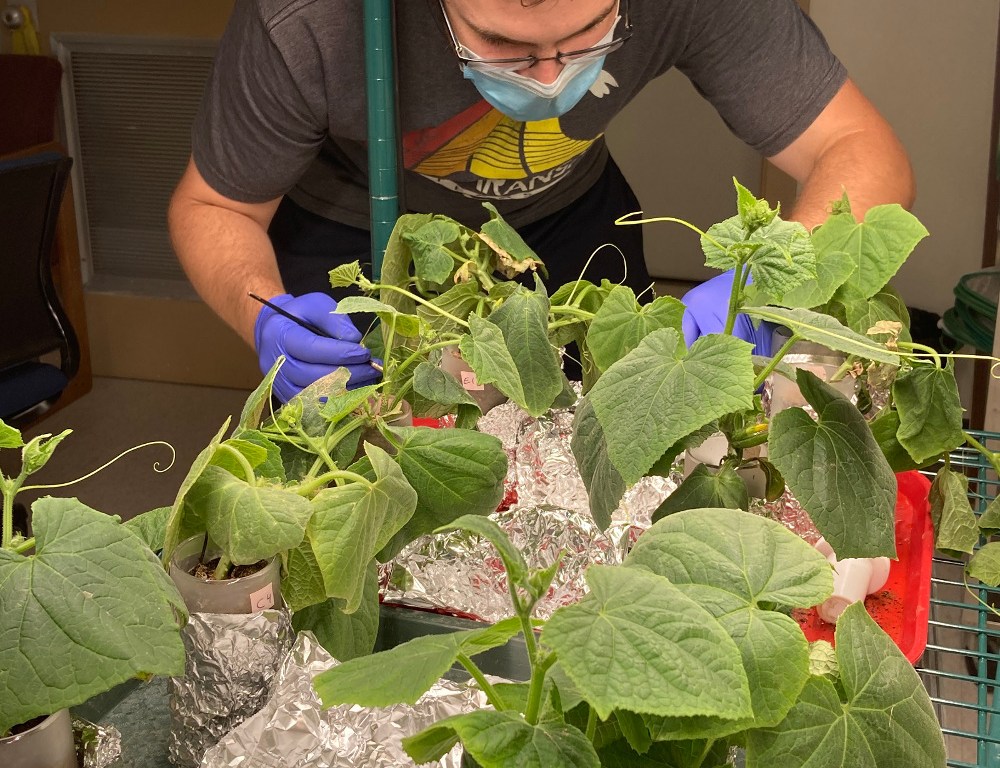 John Grunseich at work