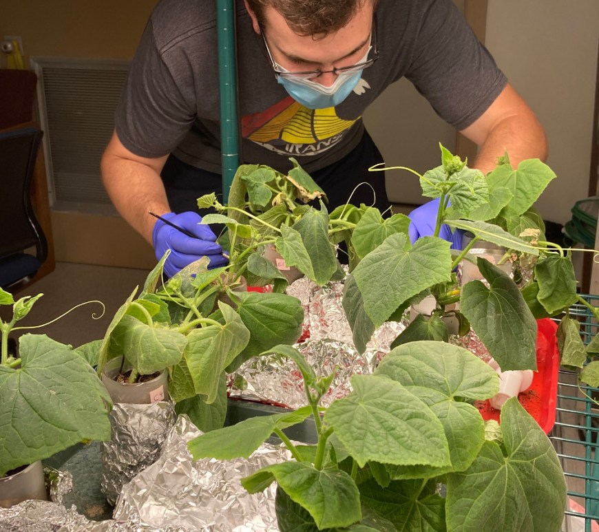 John Grunseich at work