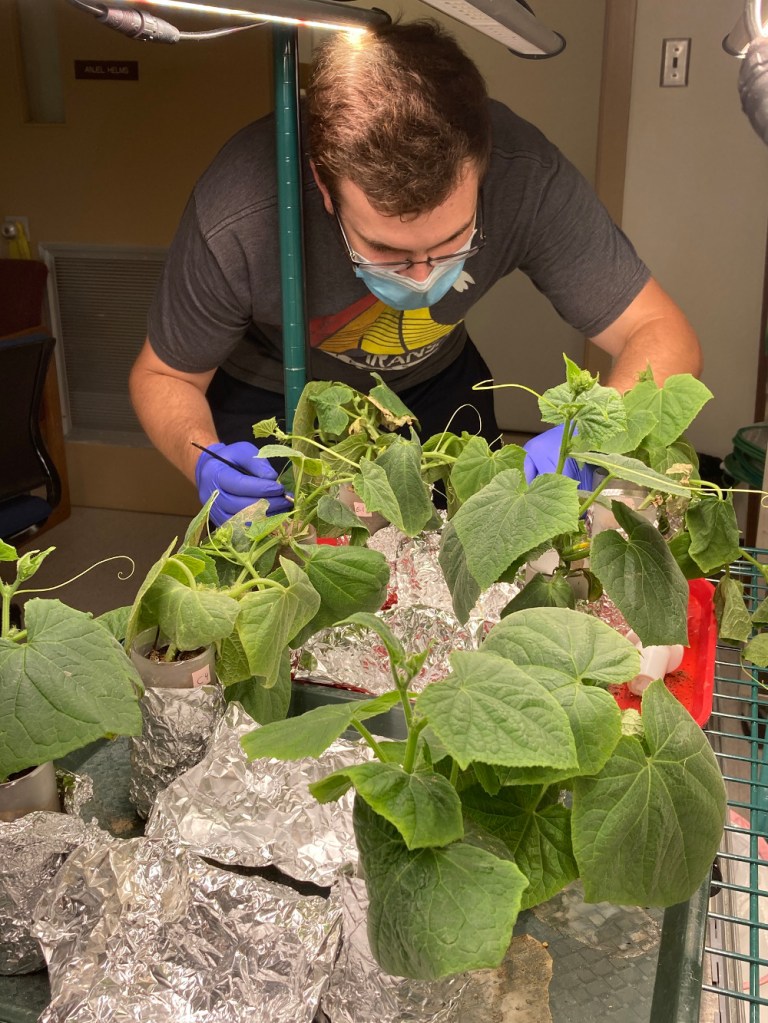 John Grunseich at work