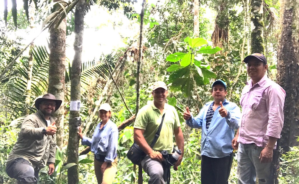 Installing camera traps for mammals with the research team (Jorge Ari Noriega, Cristina Tingle, Carlos Valderrama, and two coffee farmers of the zone).