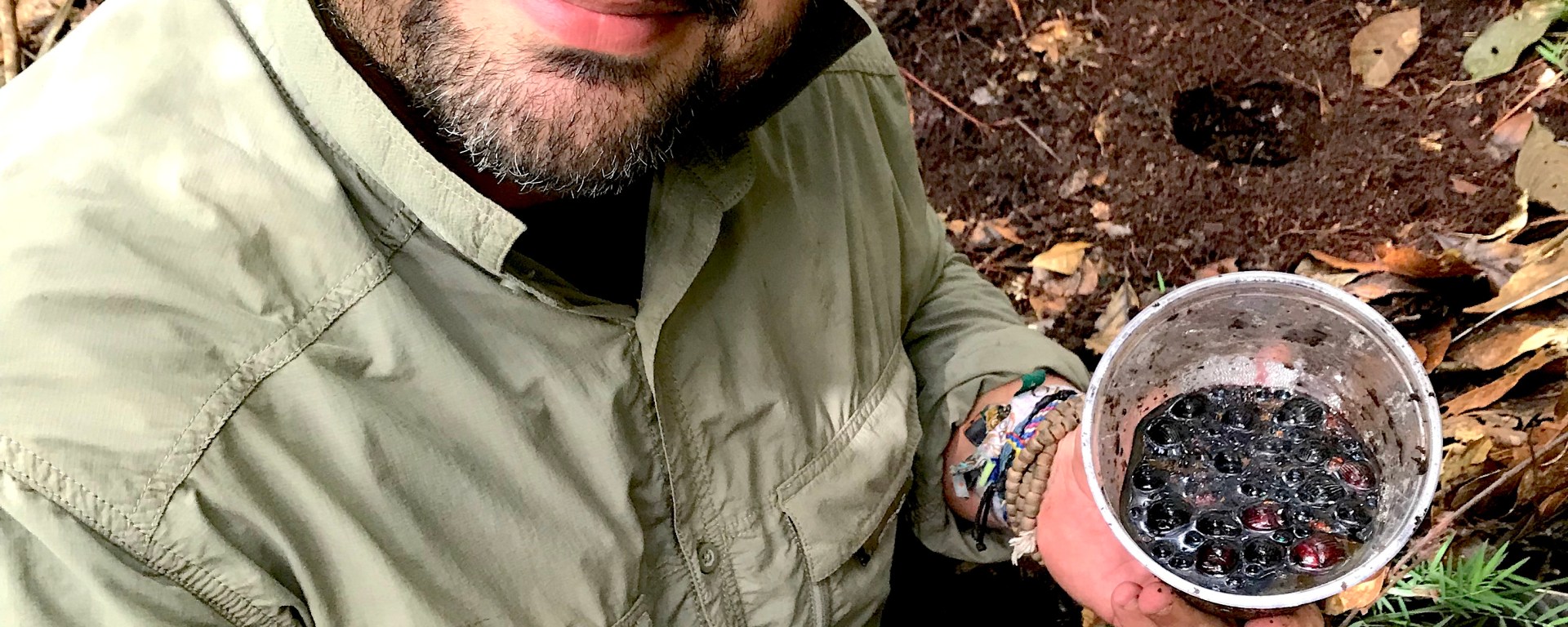 Jorge Ari Noriega collecting a pitfall trap for dung beetles in one of the coffee farms.