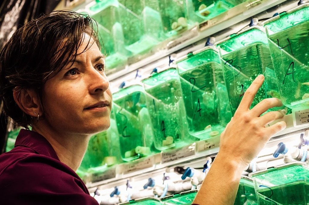 Me posing for an NSERC picture. I'm pretending to be looking at a fish tank in my lab in Canada. Photo courtesy of NSERC.