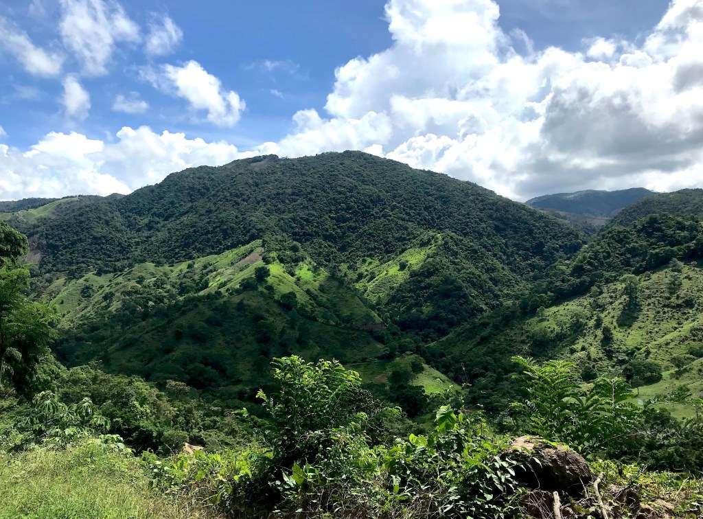 Typical landscape of La Serrania de San Lucas in Colombia with forests, coffee crops, and pastures.