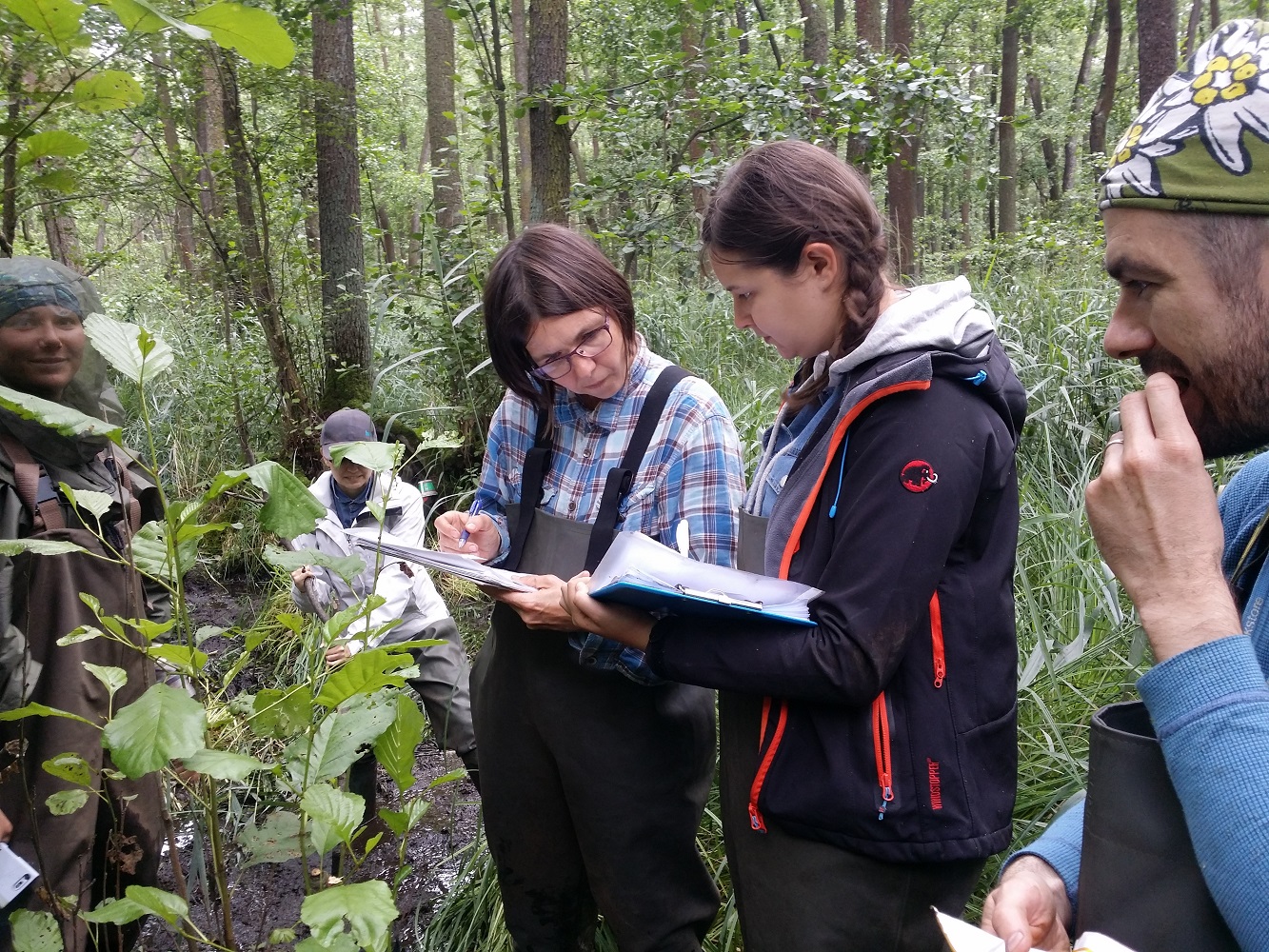 Wetland team collecting data in the filed with Jana in the middle