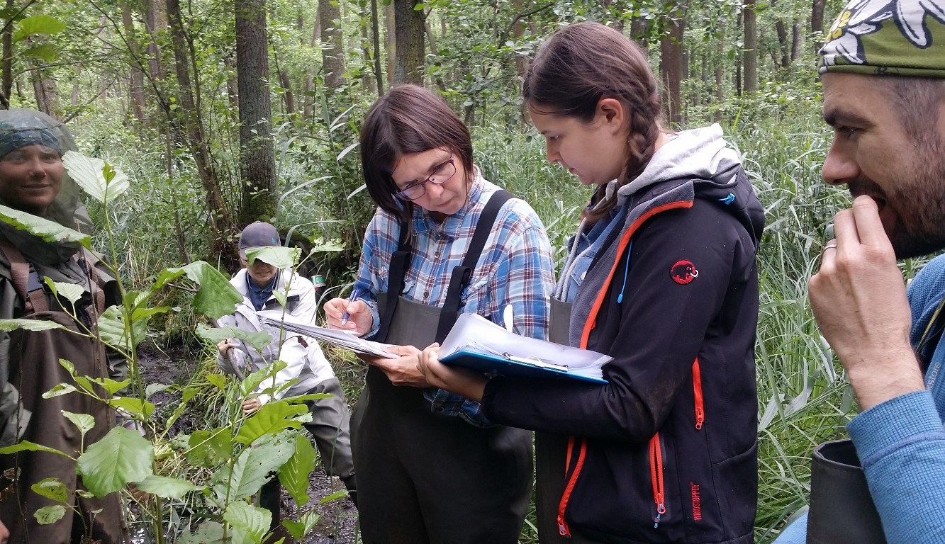 Wetland team collecting data in the filed with Jana in the middle