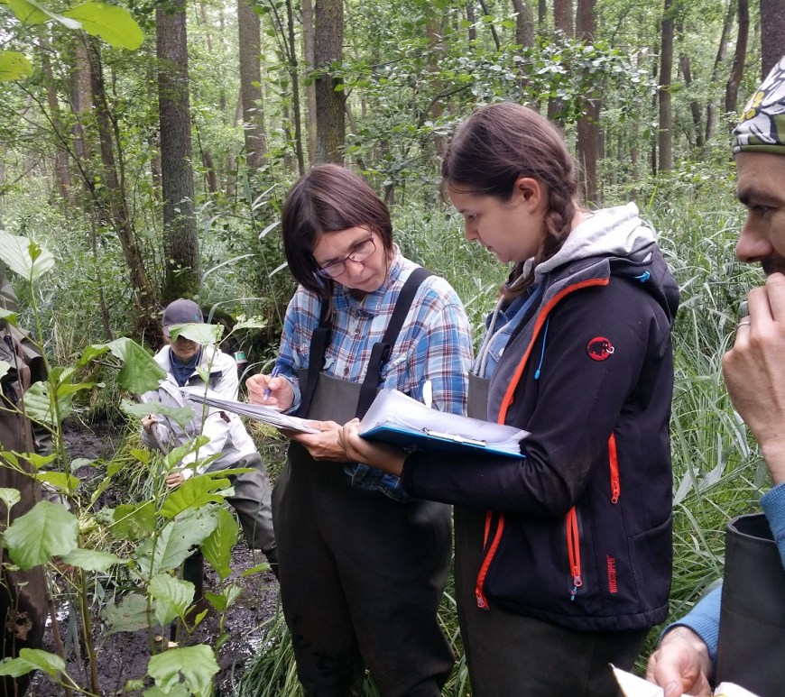 Wetland team collecting data in the filed with Jana in the middle