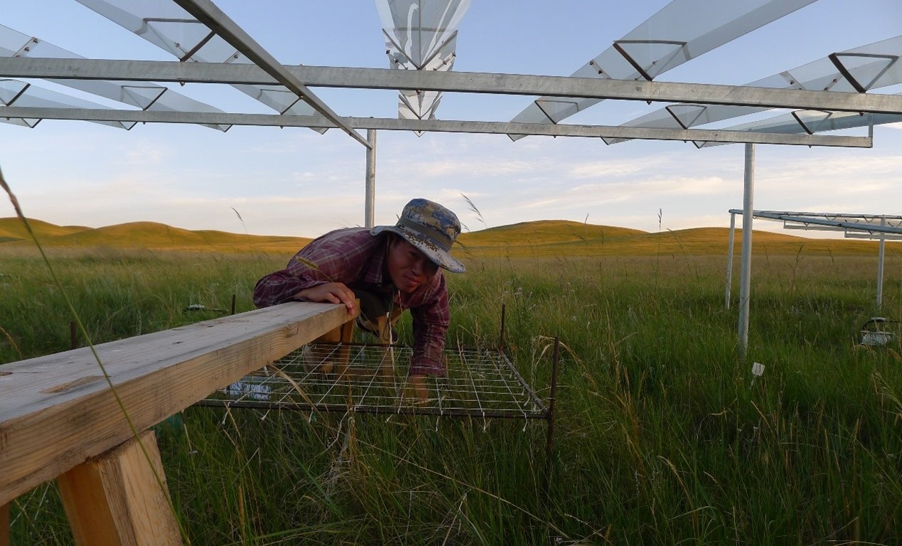 Bingwei Zhang (photo by Minling Chen)
