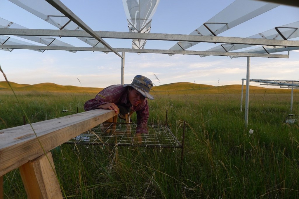 Bingwei Zhang (photo by Minling Chen)